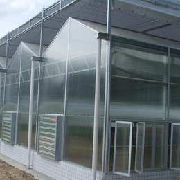 Polycarbonate Sheet Greenhouse