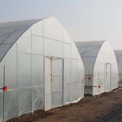 Plastic Film Greenhouse