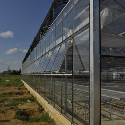 Glass Panel Greenhouse