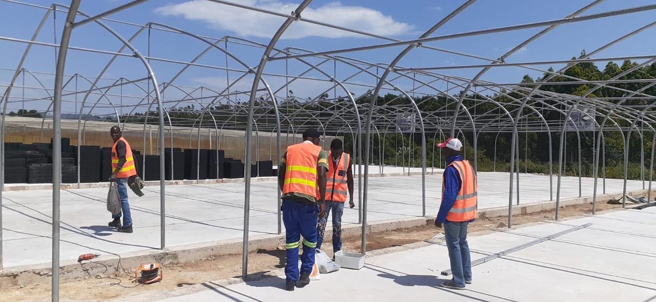 armlux greenhouse installation